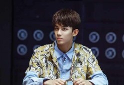 吴磊娱乐大爆料在线观看,揭秘明星幕后故事